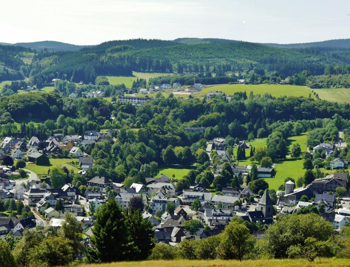 Fewo Blumes Bergfrieden mit MeineCardPlus Willingen  Exterior foto
