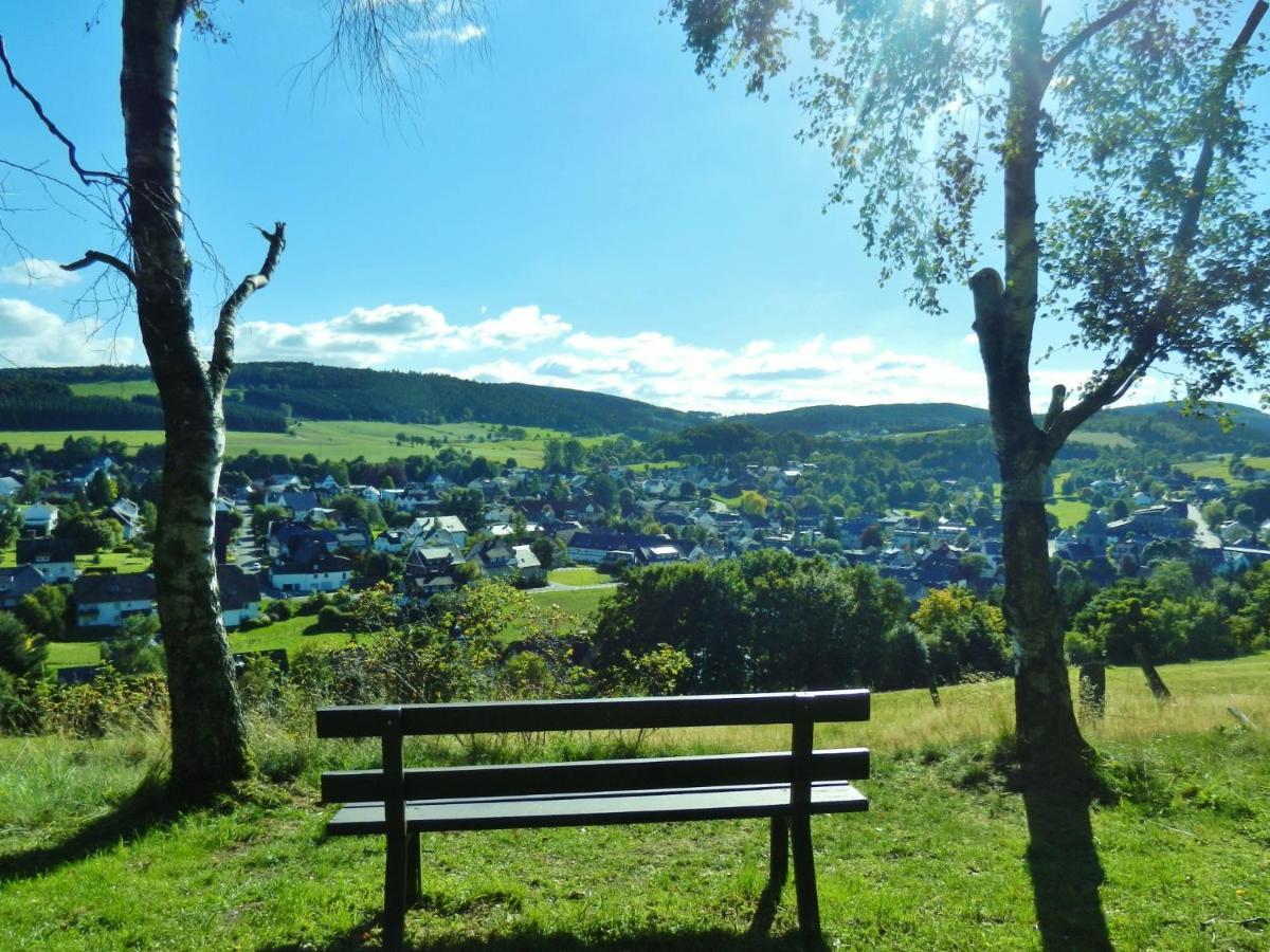 Fewo Blumes Bergfrieden mit MeineCardPlus Willingen  Exterior foto
