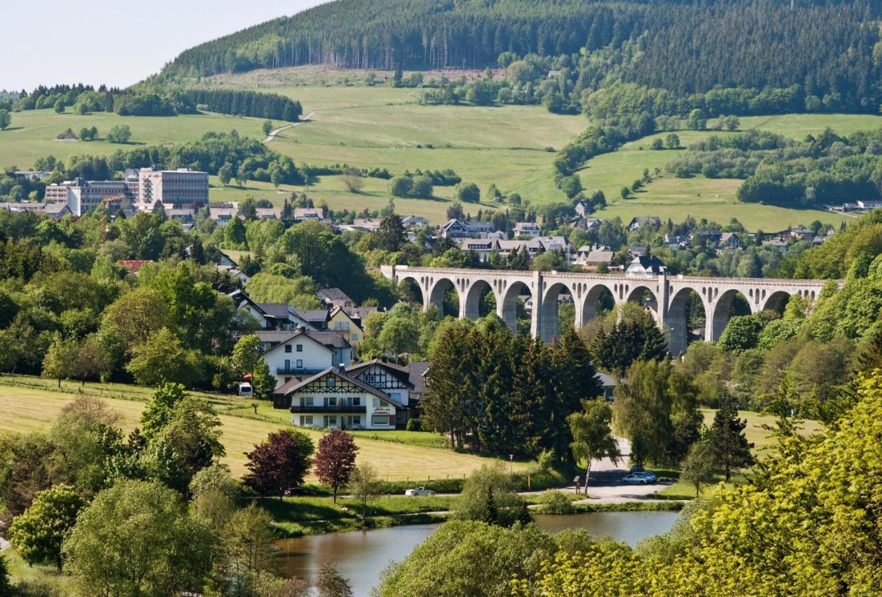 Fewo Blumes Bergfrieden mit MeineCardPlus Willingen  Exterior foto