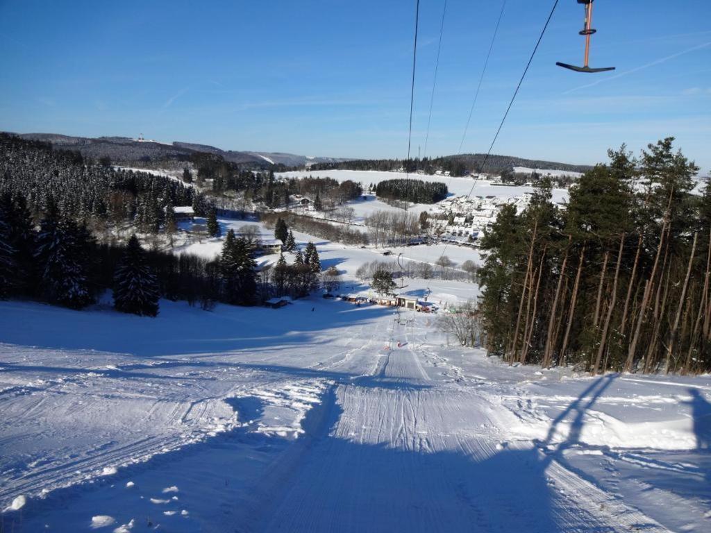 Fewo Blumes Bergfrieden mit MeineCardPlus Willingen  Exterior foto