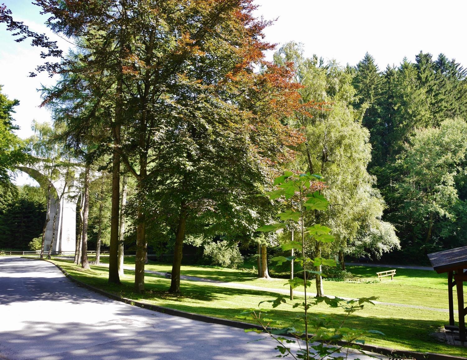 Fewo Blumes Bergfrieden mit MeineCardPlus Willingen  Exterior foto